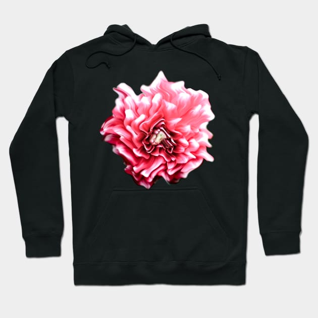 flower crazy Hoodie by rickylabellevie